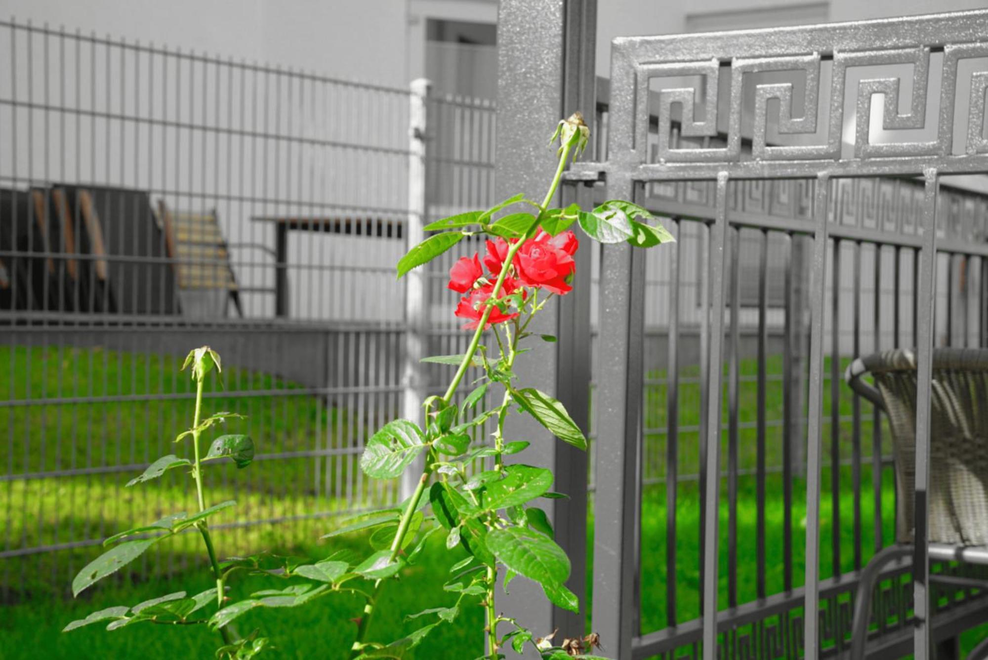 Gepflegtes Und Schoenes Ferienapartment Im Neubau Любек Екстериор снимка